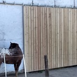 Scheunentore_022