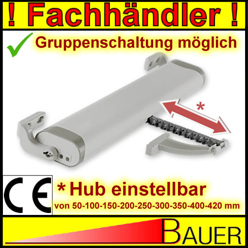 Elektrischer Fensteröffner 600N - Geräuscharmer Kettenantrieb Für Dachfenster DC 24V