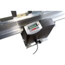 Industrie Schiebetor mit Doppelschiene mit E-Antrieb / ohne Pfosten, bis 1,5m Torhöhe, bis 13m LW, in allen RAL-Farben