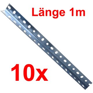 Montagewinkel - L  30x30x1000 (10x)