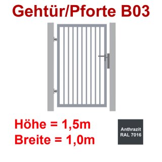 Industrie Stahl-Gehtür/Pforte B03, Anthrazit RAL 7016, bis1500mm Flügelhöhe, bis 1000mm Breite zwischen den Pfosten, Torfüllung 25x25mm
