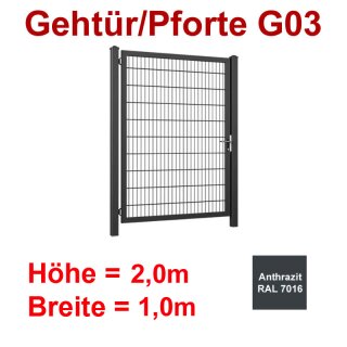 Industrie Stahl-Gehtür/Pforte G03, Anthrazit RAL 7016, 2000mm Flügelhöhe, 1000mm Breite zwischen den Pfosten