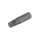 Schrauenkopfdreher Bit T40
