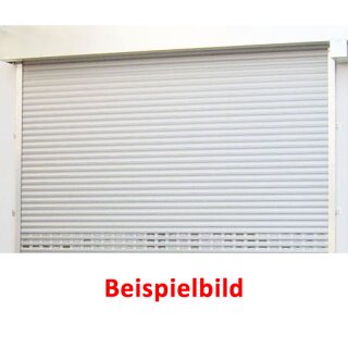 Industrie Rolltor M7 Trend