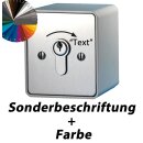 Schlüsselschalter auf Putz mit PHZ,  1 seitig,...